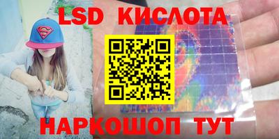 мдпв Кингисепп