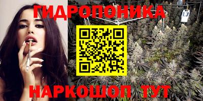 мдпв Кингисепп