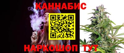 мдпв Кингисепп