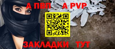 мдпв Кингисепп