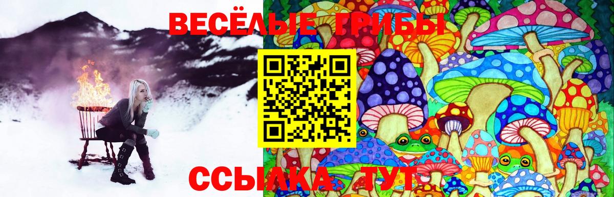 Канск  Галлюциногенные грибы GOLDEN TEACHER  купить наркоту  Вход с VPN 